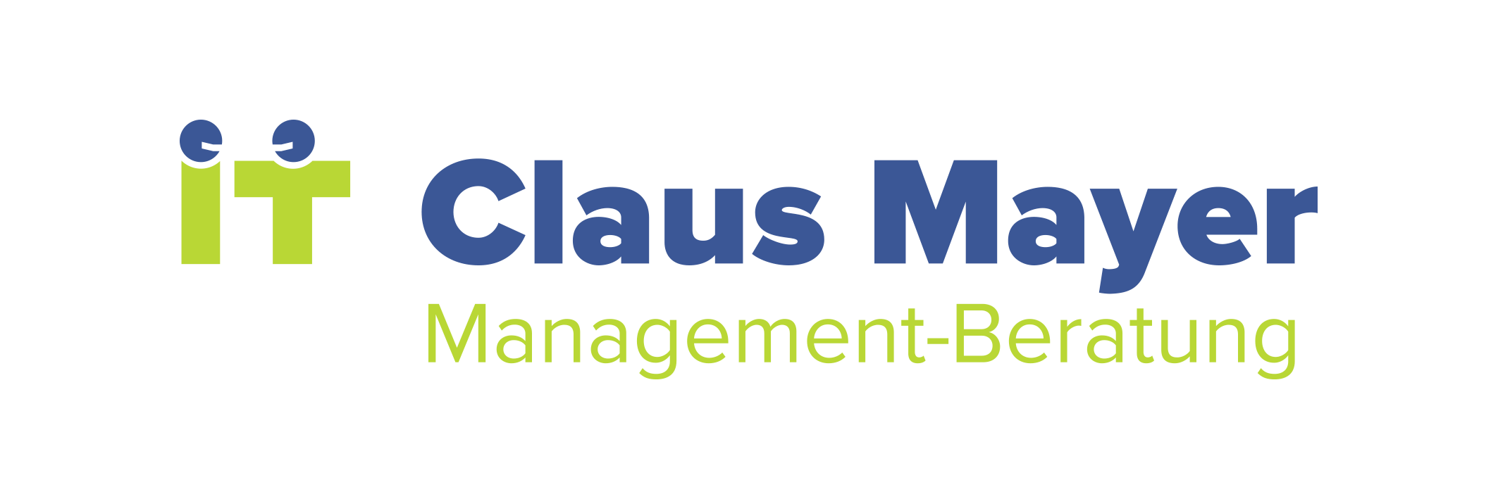 Claus Mayer IT-Management-Beratung